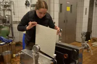 Junge:r Winzer:in mit technischen Geräten