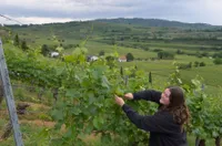 Junge Winzer:in im Weinberg