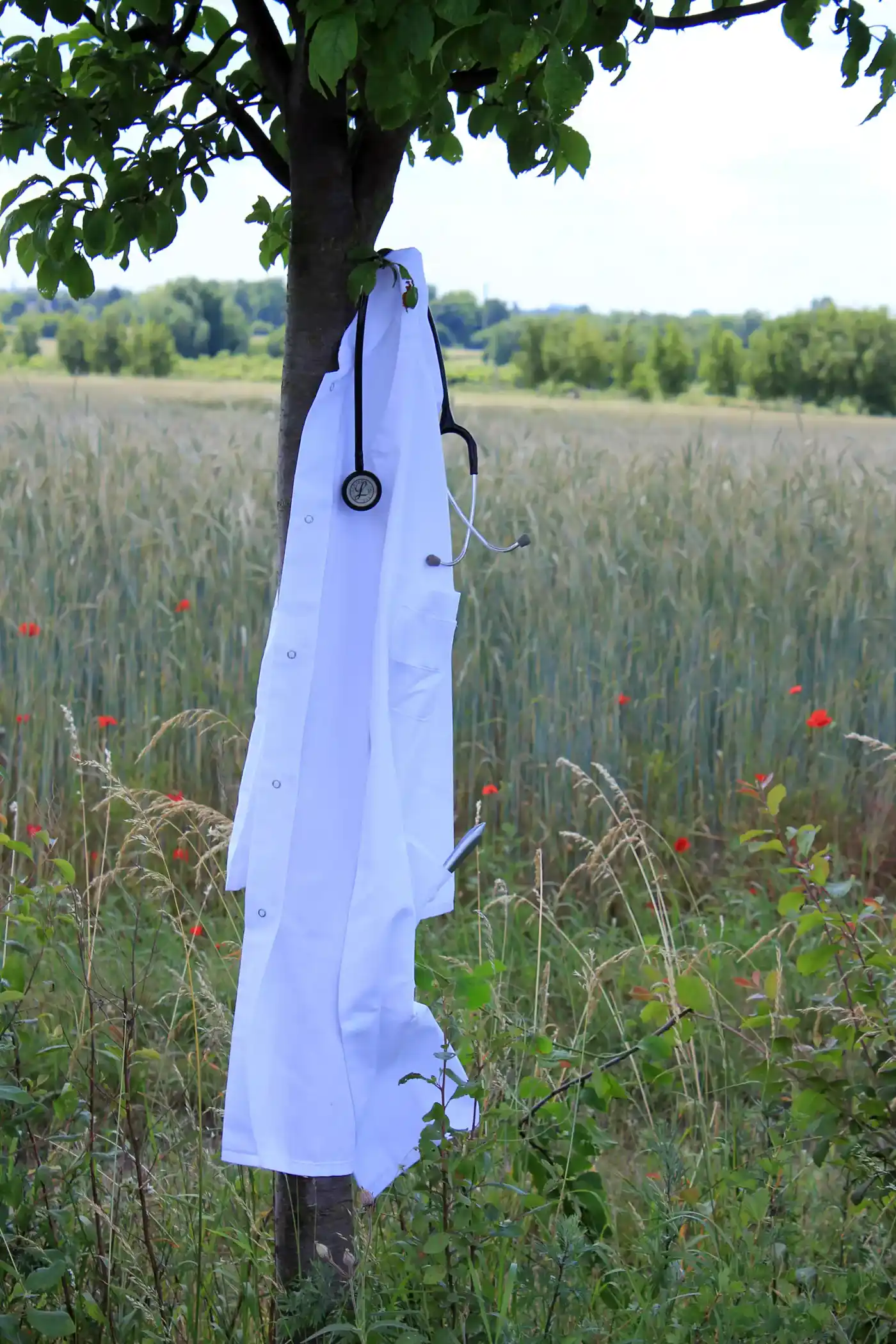 Das Bild zeigt Plant, sowie Flower, sowie Sky, sowie Scarecrow, sowie Grass, sowie Grassland, sowie Rural area, sowie People in nature, sowie Meadow, sowie Grass family.