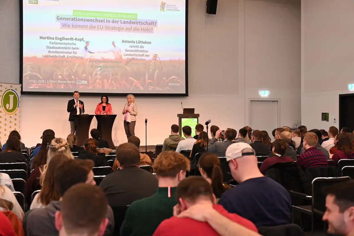 kein Bildtext verfügbar