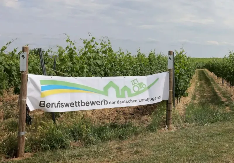 Banner mit der Aufschrift "Berufswettbewerb" vor einer malerischen Landschaft mit Himmel, Wolken, Pflanzen, Sträuchern und einem weiten Wiesenfeld.