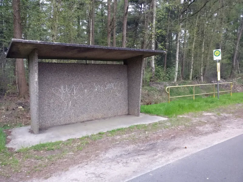 Das Bild zeigt Plant, sowie Road surface, sowie Tree, sowie Asphalt, sowie Grass, sowie Shade, sowie Gas, sowie Landscape, sowie Road, sowie Tar.