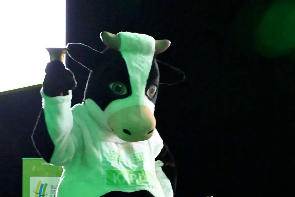 kein Bildtext verfügbar