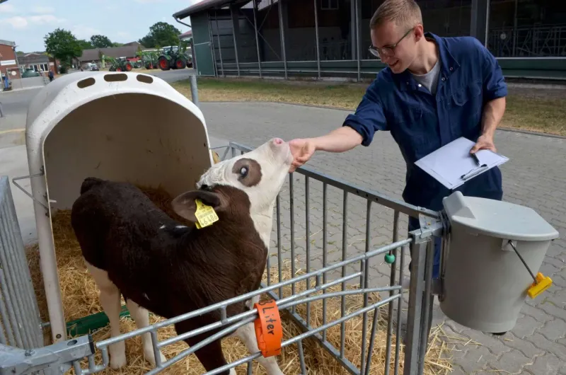 Ein junger Landwirt steht lächelnd neben einem kleinen Kalb auf einer Weide. Der junge Mann hält das Kalb an der Leine und blickt in die Kamera. Im Hintergru...