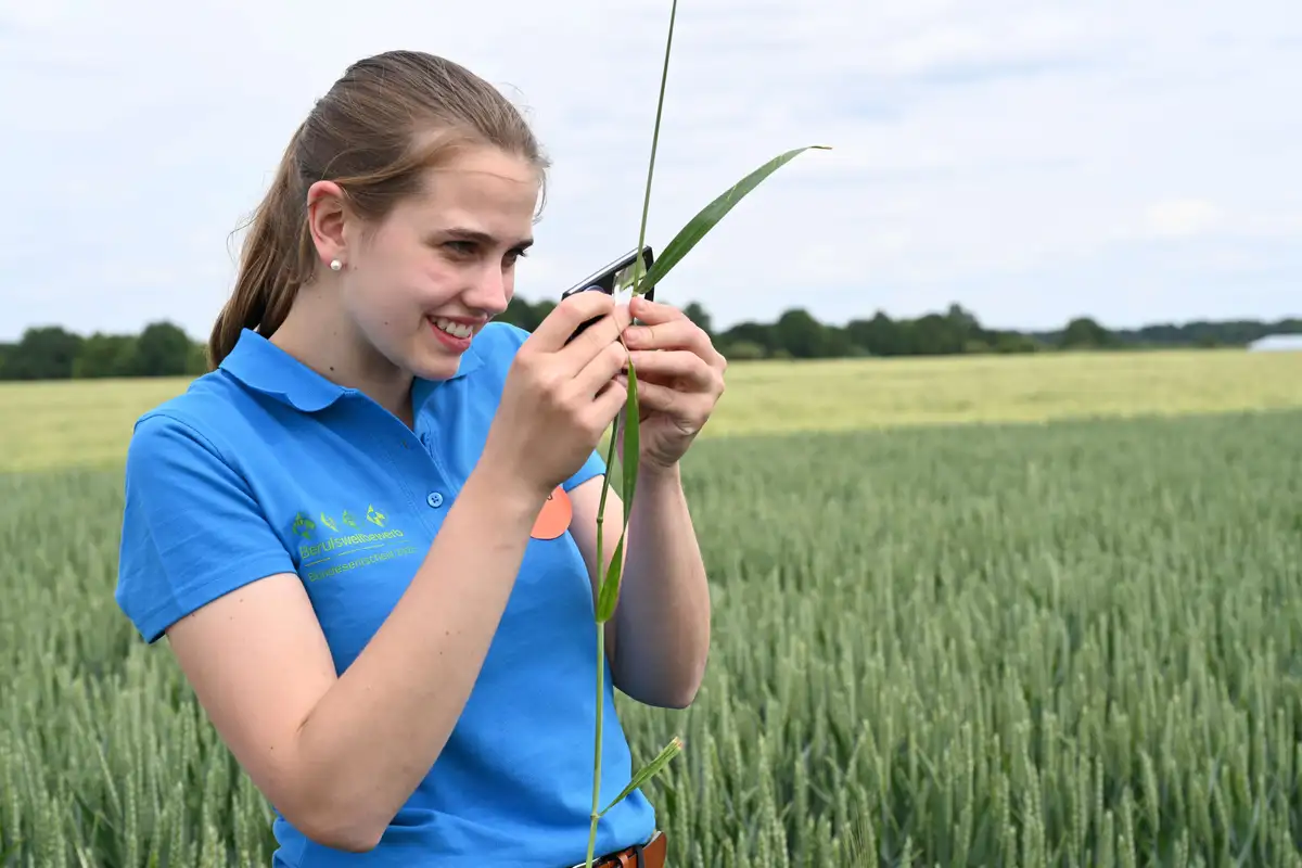 Landwirtin begutachtet einen Halm