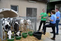 Junger Landwirt vor Kälberstall