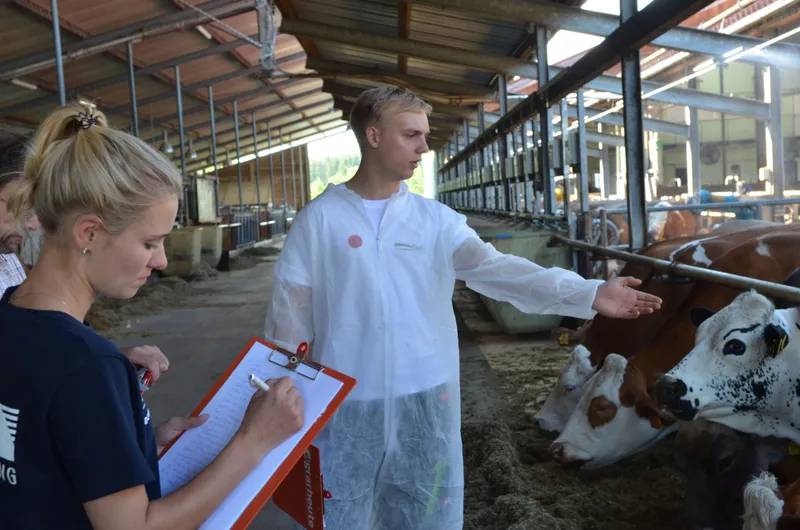 Ein junger Mann im Kuhstall spricht über Kühe, während eine junge Frau sich im Vordergrund Notizen macht: Berufswettbewerb der deutschen Landjugend, Sparte: Landwirtschaft.