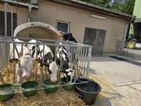 Junger Landwirt vor Kälberstall