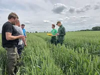 Landwirte im Feld
