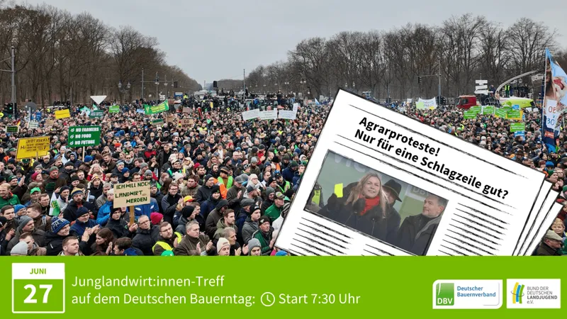 Eine jubelnde Menschenmenge vor einem Baum unter strahlend blauem Himmel. Die Fans tragen Jacken und genießen ein Freizeitevent auf grünem Rasen.